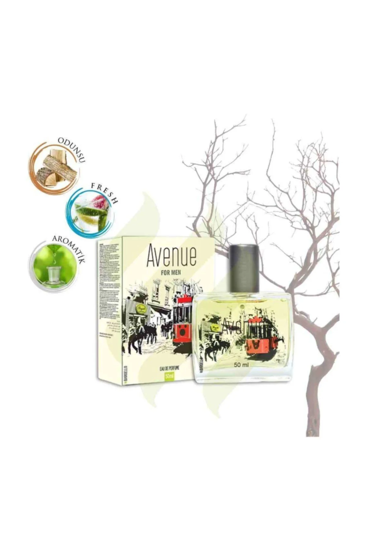 ERKEK PARFÜM AVENUE 50 ML EDP 8691841304746