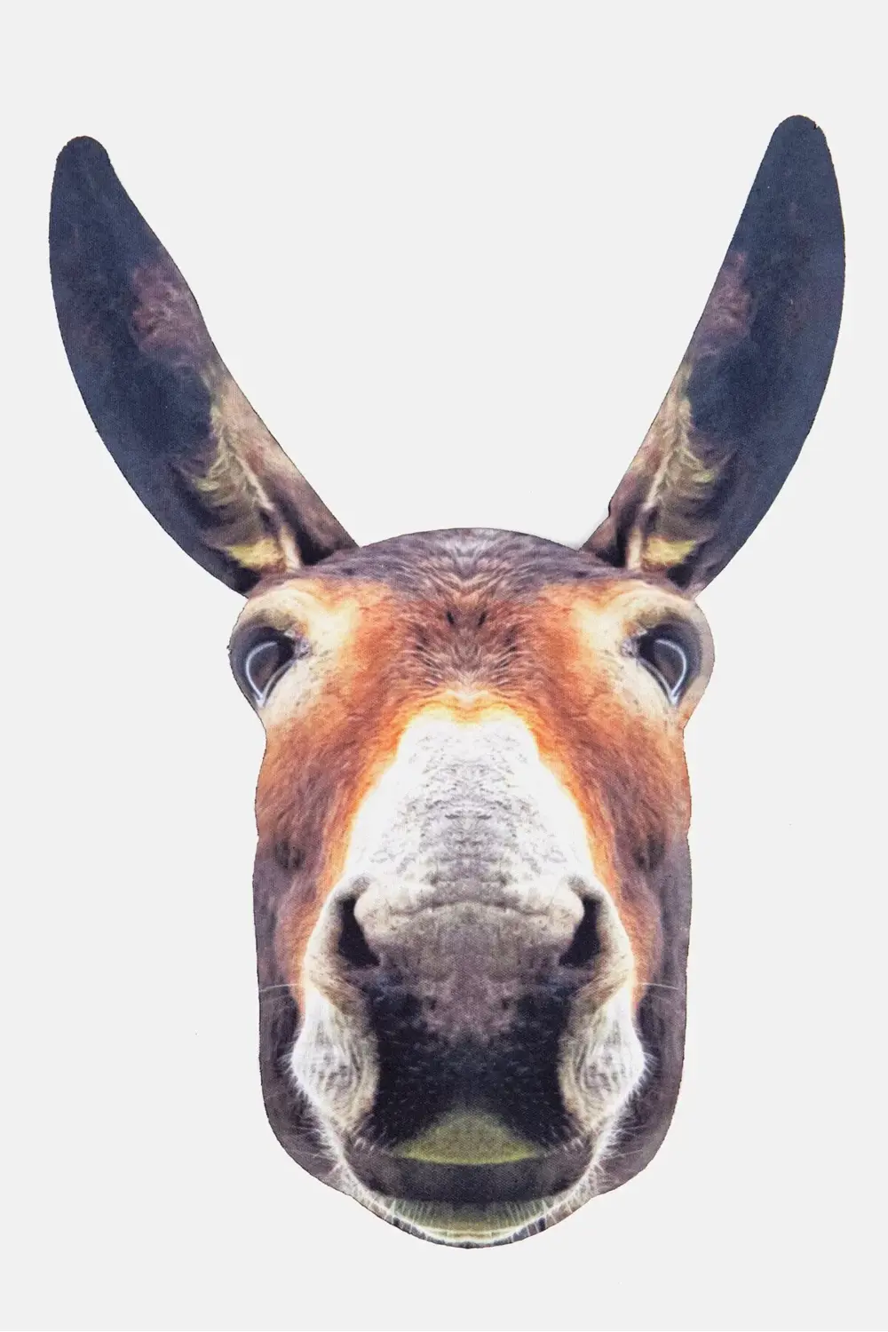 Eşek Gözlük Bezi, Pembe/Siyah