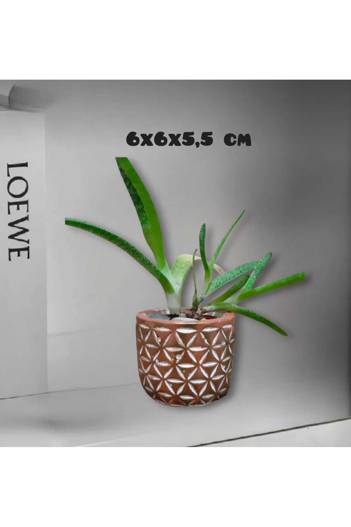 Dodemert Home Eskitme Antik Beton Saksı & Mumluk