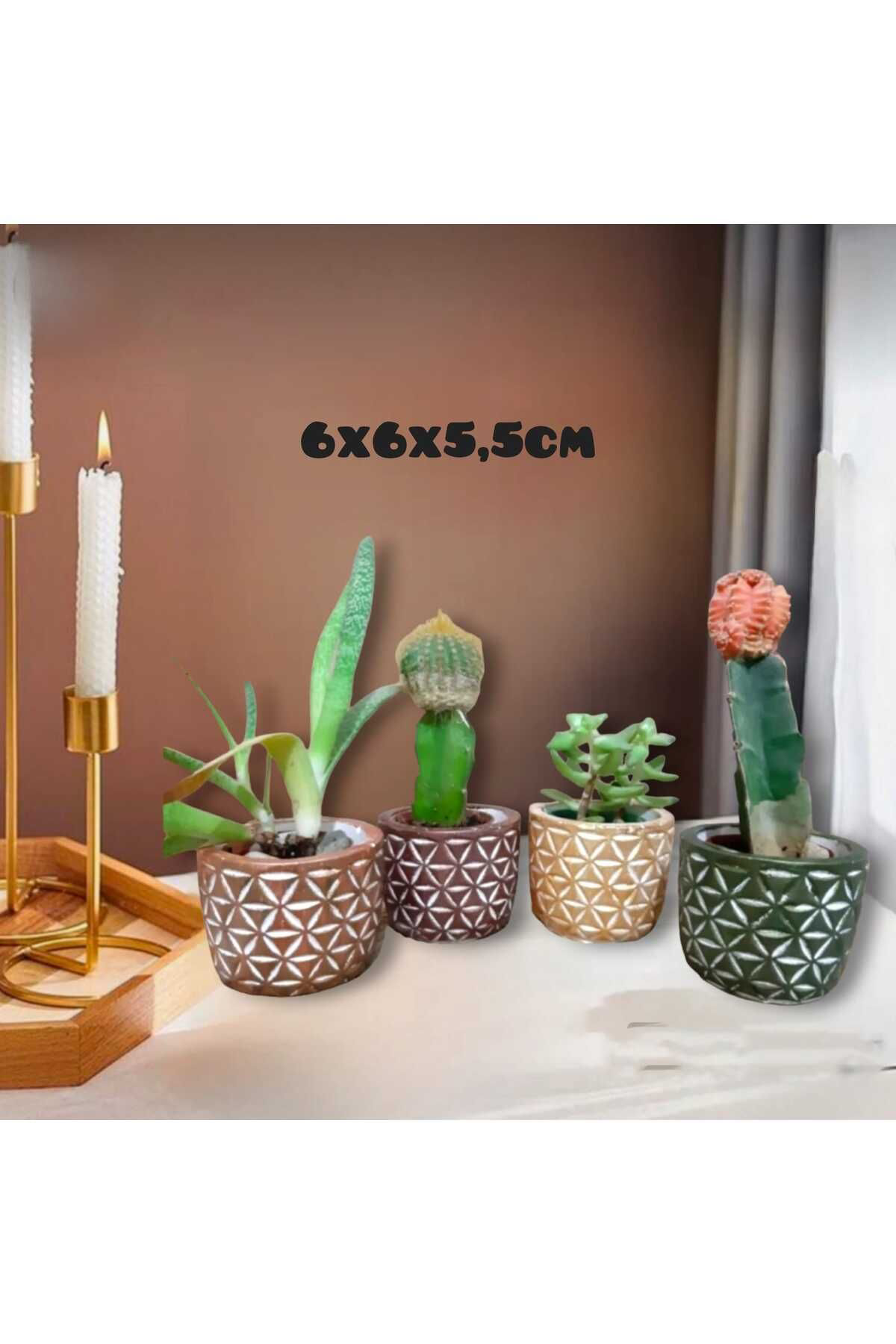 Eskitme Beton Saksı & Kalemlik & Mumluk 4 Lü