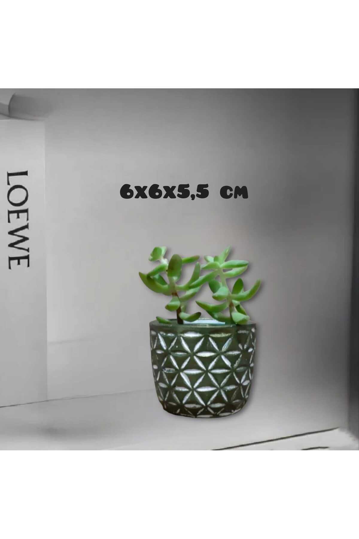 Dodemert Home Eskitme Beton Saksı & Kalemlik & Mumluk