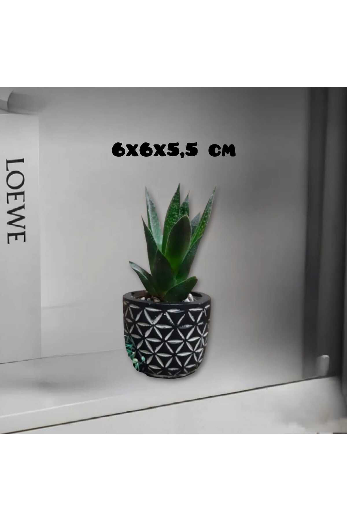 Eskitme Siyah Beton Saksı & Mumluk