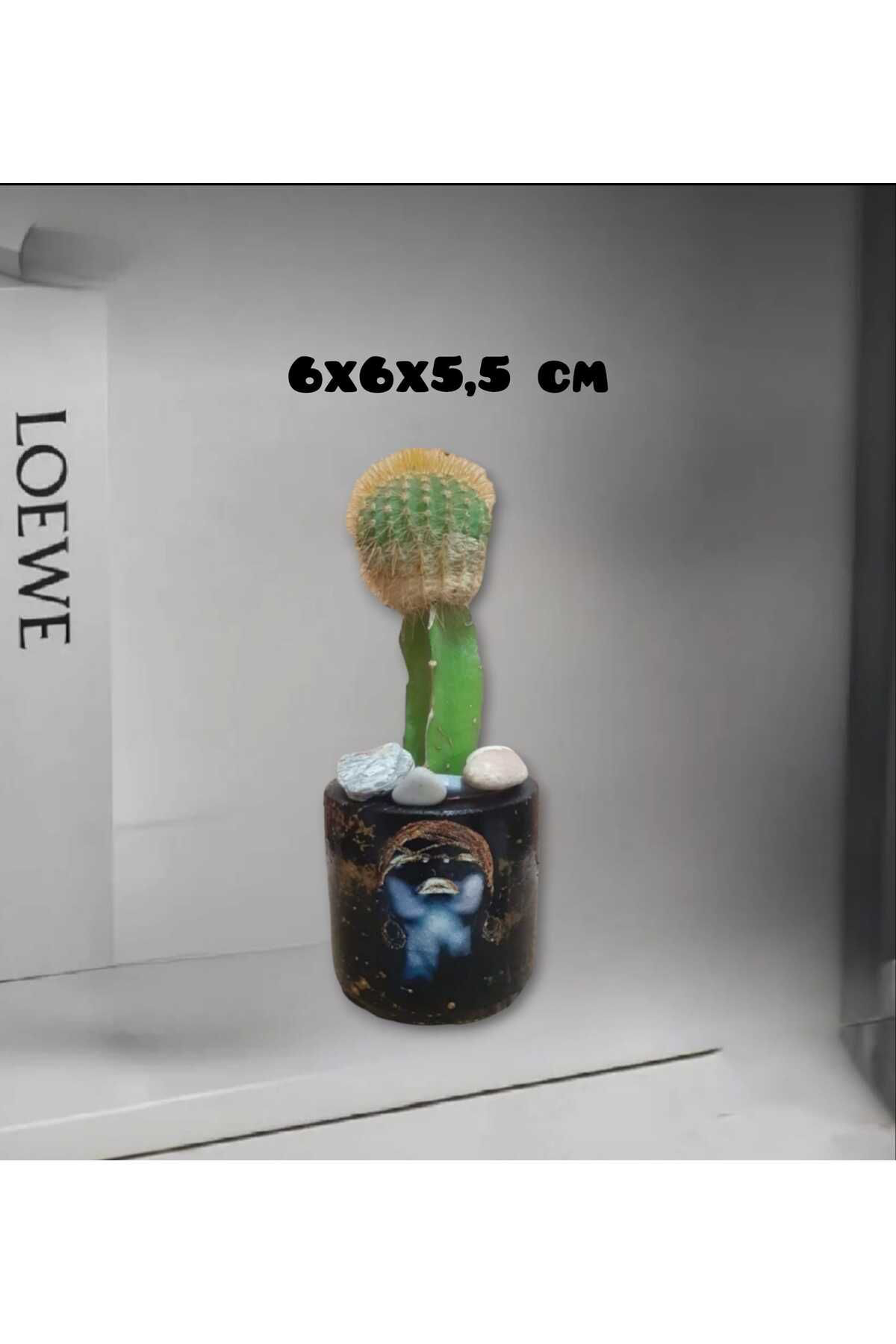 Etnik Özel Tasarım Beton Saksı & Mumluk