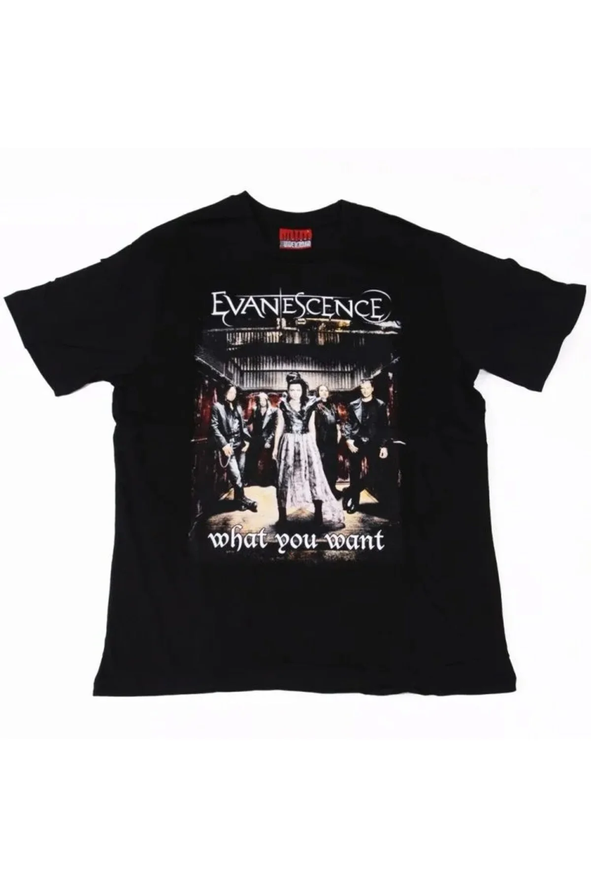 Evanescence What You Want Tişört Siyah