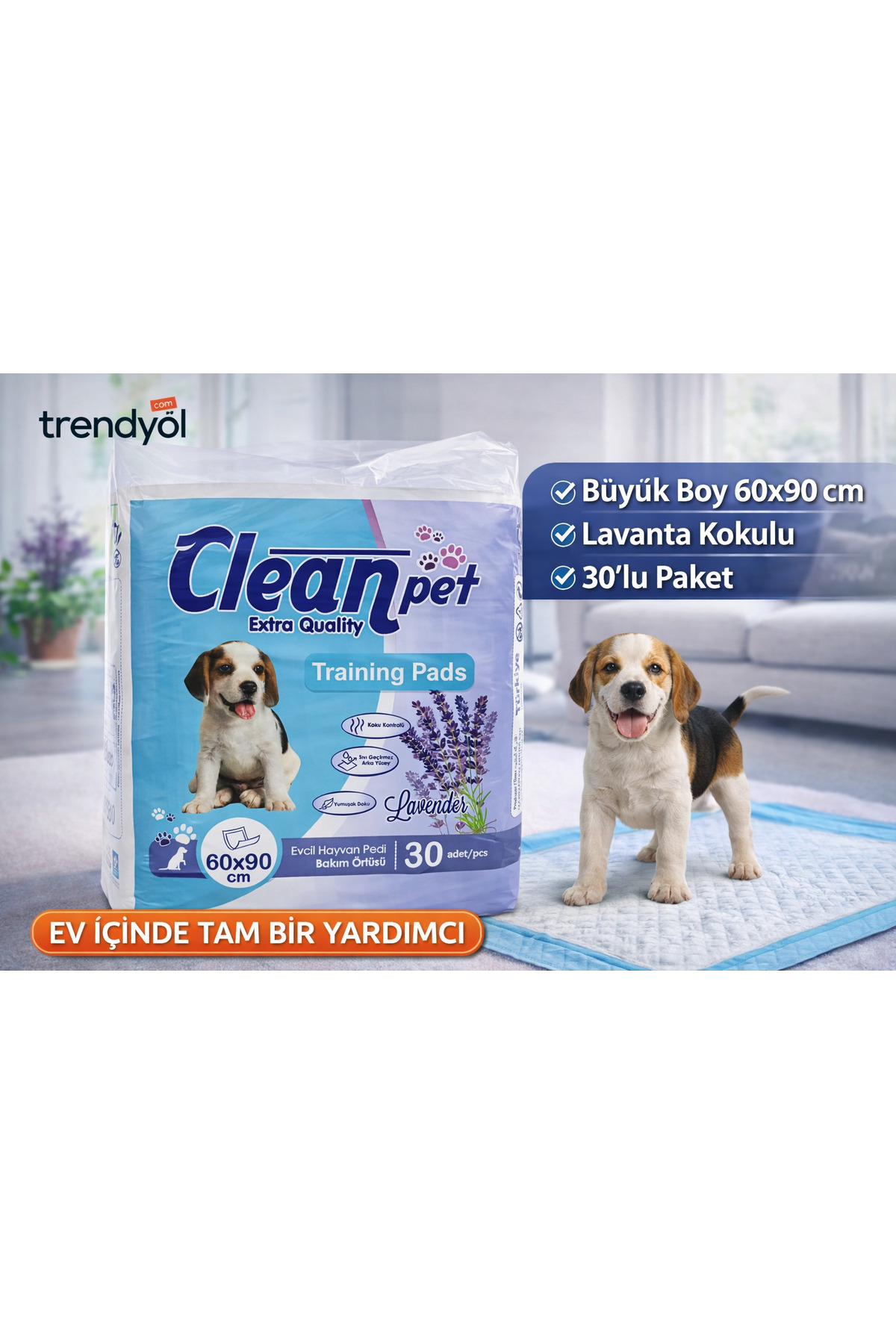 Evcil Hayvan Eğitim Pedi