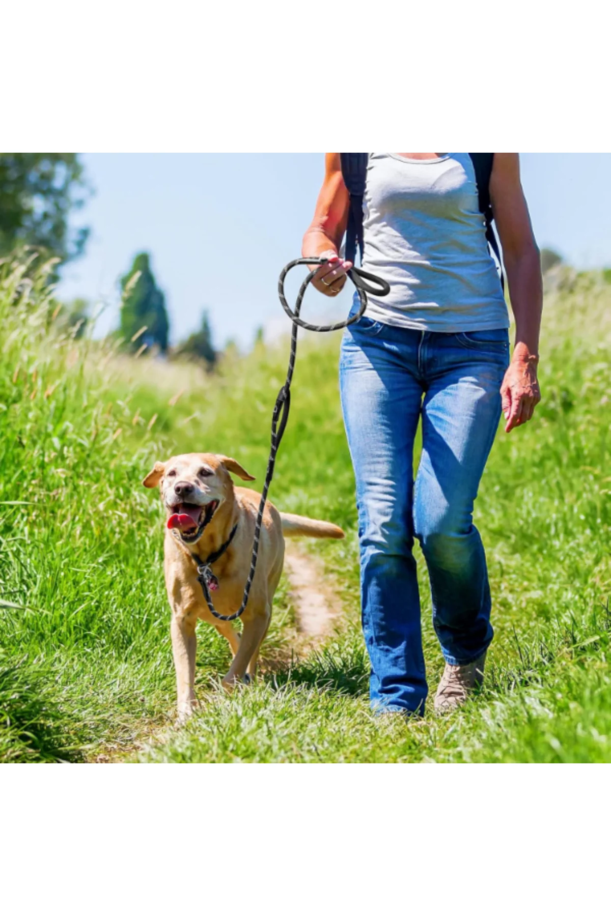 Evcil Hayvan Fitil Gezdirme Tasması 10 mm x 120 cm