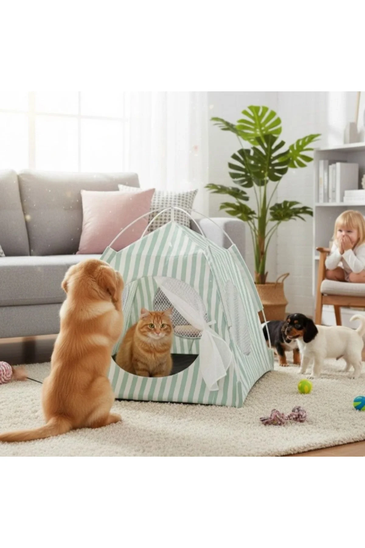 Evcil Hayvan Katlanabilir Oyun Çadırı