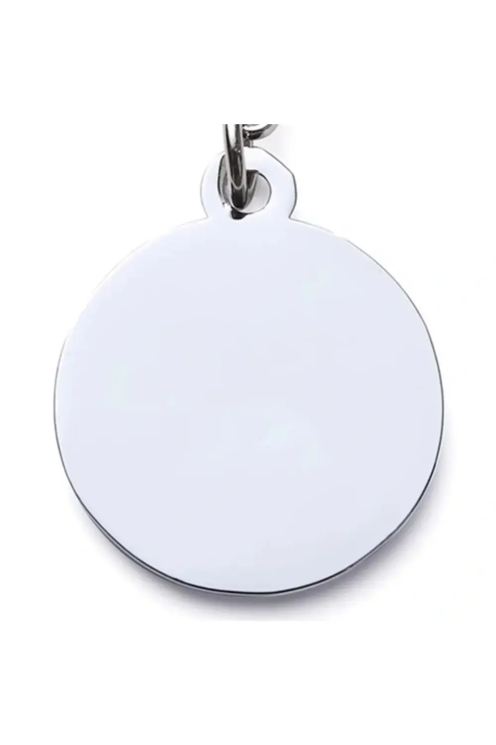 Evcil Hayvan Klipsli Tasma Künyesi