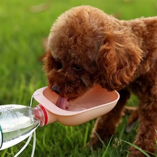 Evcil Hayvan Plastik Yıkanabilir Taşınabilir Su Şişesi Bağlantılı