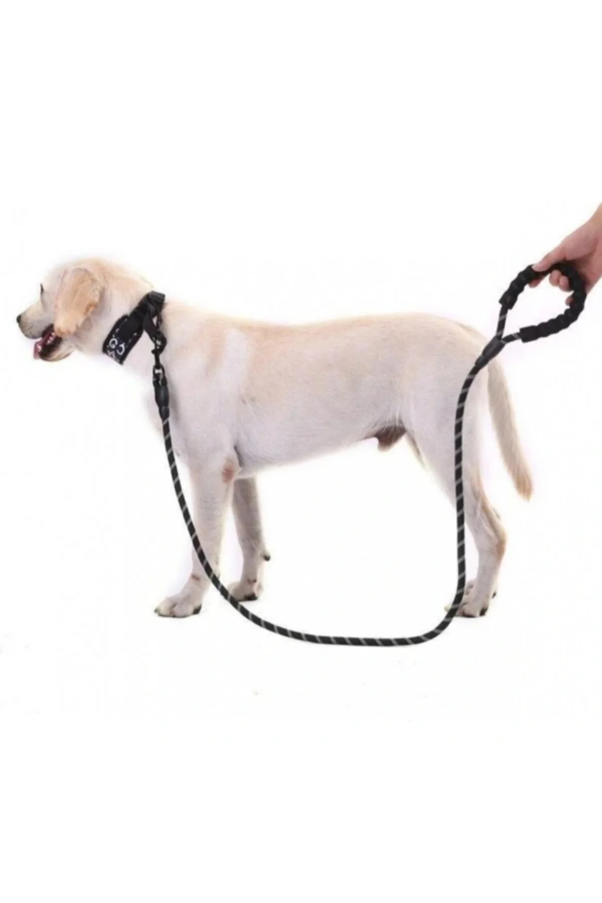 Evcil Hayvan Reflektörlü Fitil Gezdirme Tasması 12 mm x 120 cm