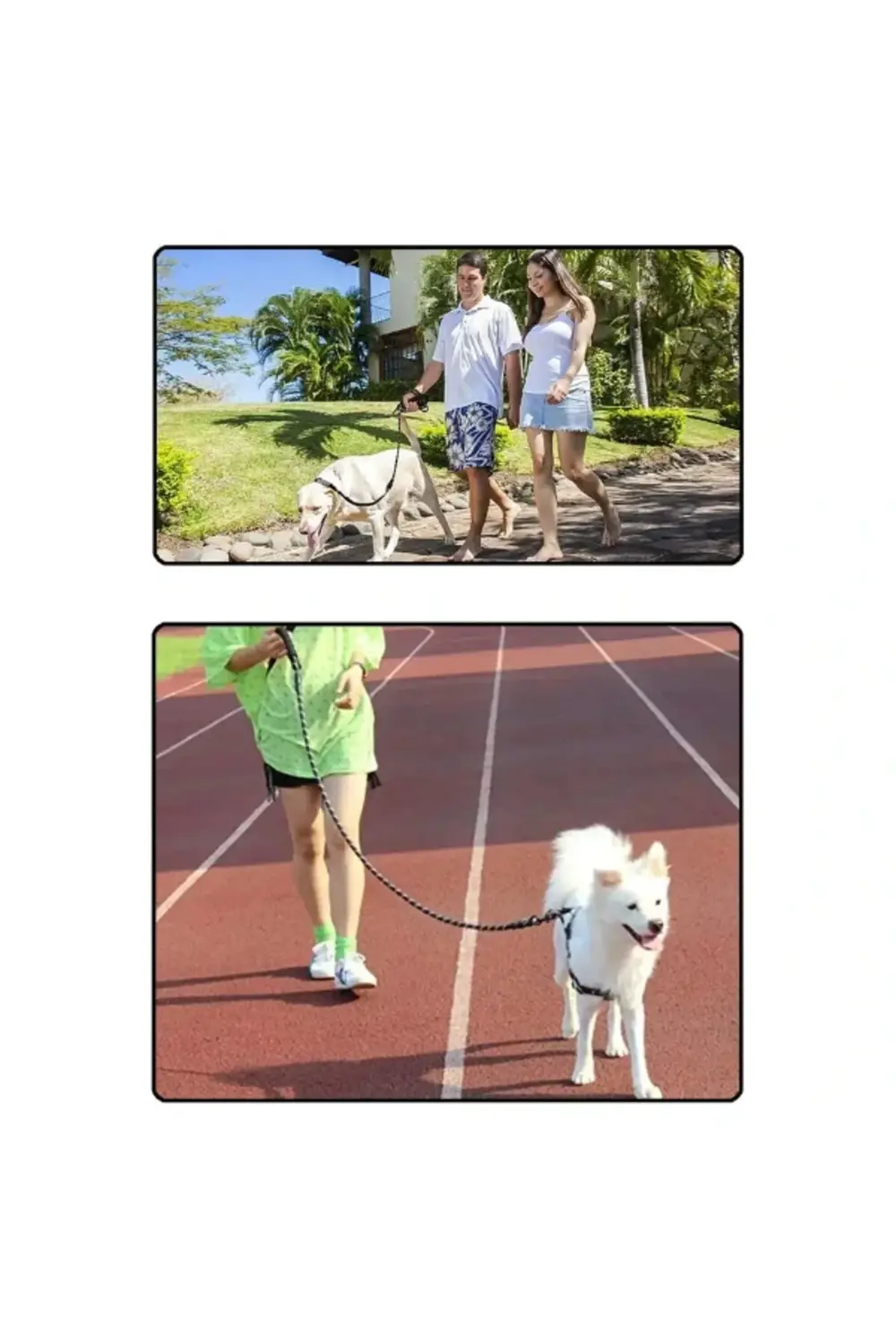 Evcil Hayvan Reflektörlü Fitil Gezdirme Tasması 8 mm x 120 cm