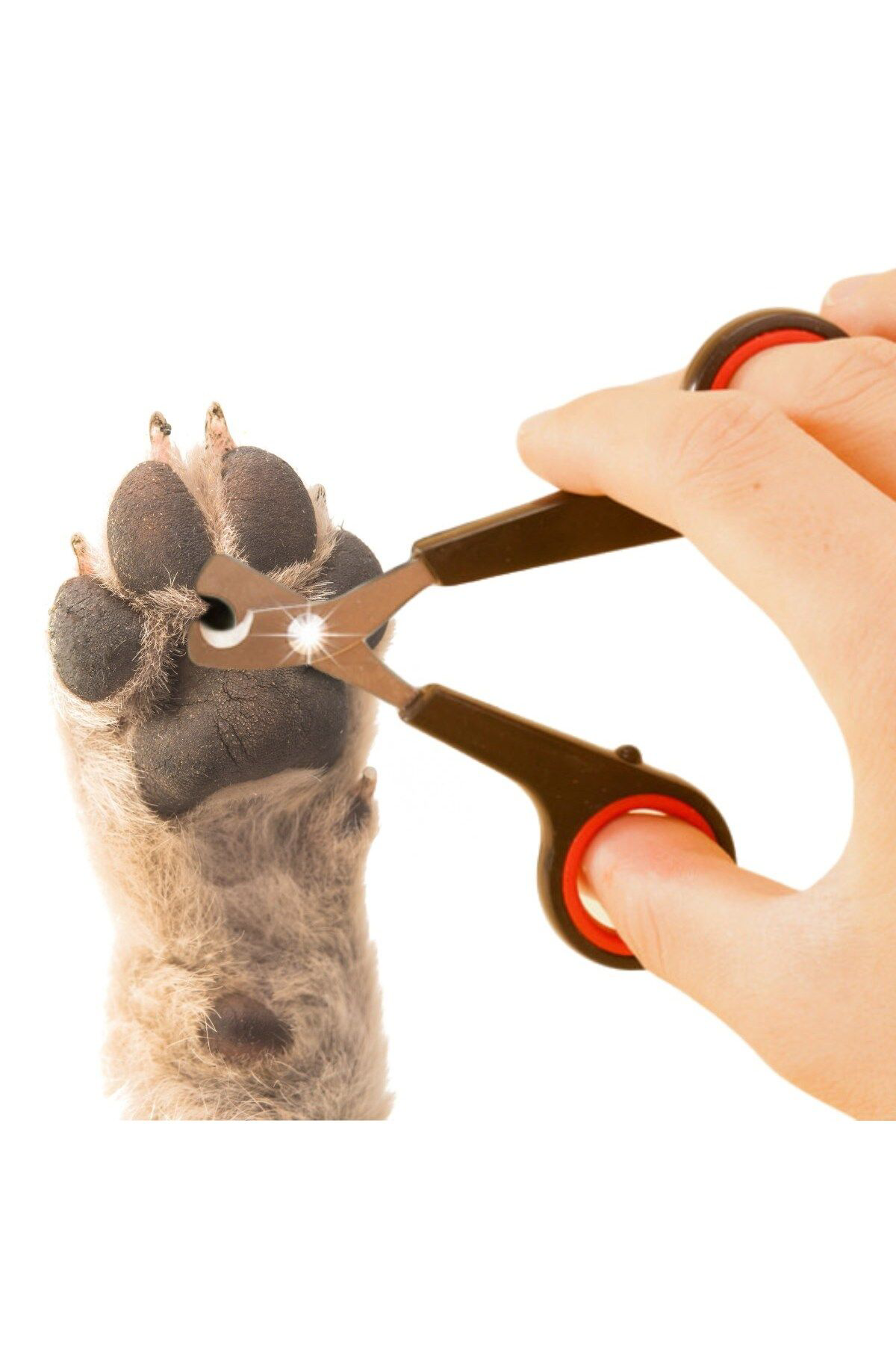 Ok Aksesuar Evcil Hayvan Tırnak Makası Ve Törpü Seti Manikür Pedikür Pati Bak Ok Aksesuar Evcil Hayvan Tırnak Makası Ve Törpü Seti Manikür Pedikür Pati Bak