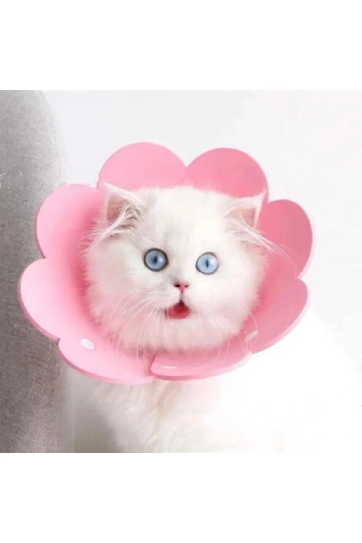 Evcil Hayvan XL Boy Keçe Elizabeth Yakalığı