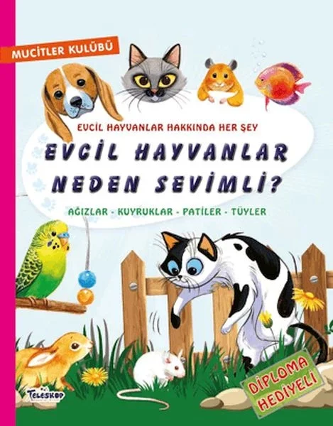 Evcil Hayvanlar Neden Sevimli? Fiyatı, Yorumları ve Özellikleri