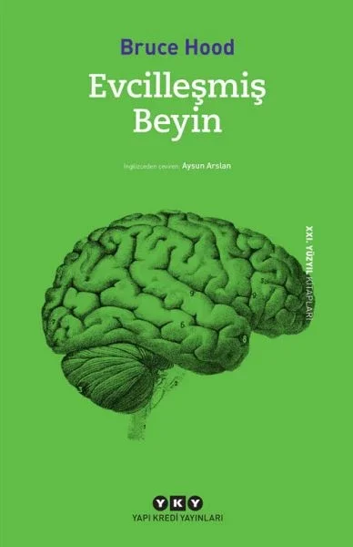 Evcilleşmiş Beyin Fiyatı, Yorumları ve Özellikleri