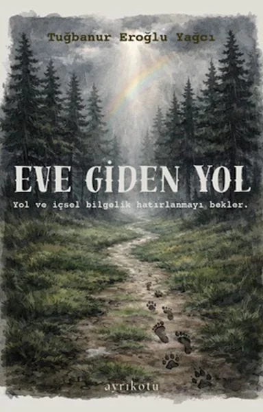 Eve Giden Yol &amp; Rehber Kartlar Fiyatı, Yorumları ve Özellikleri