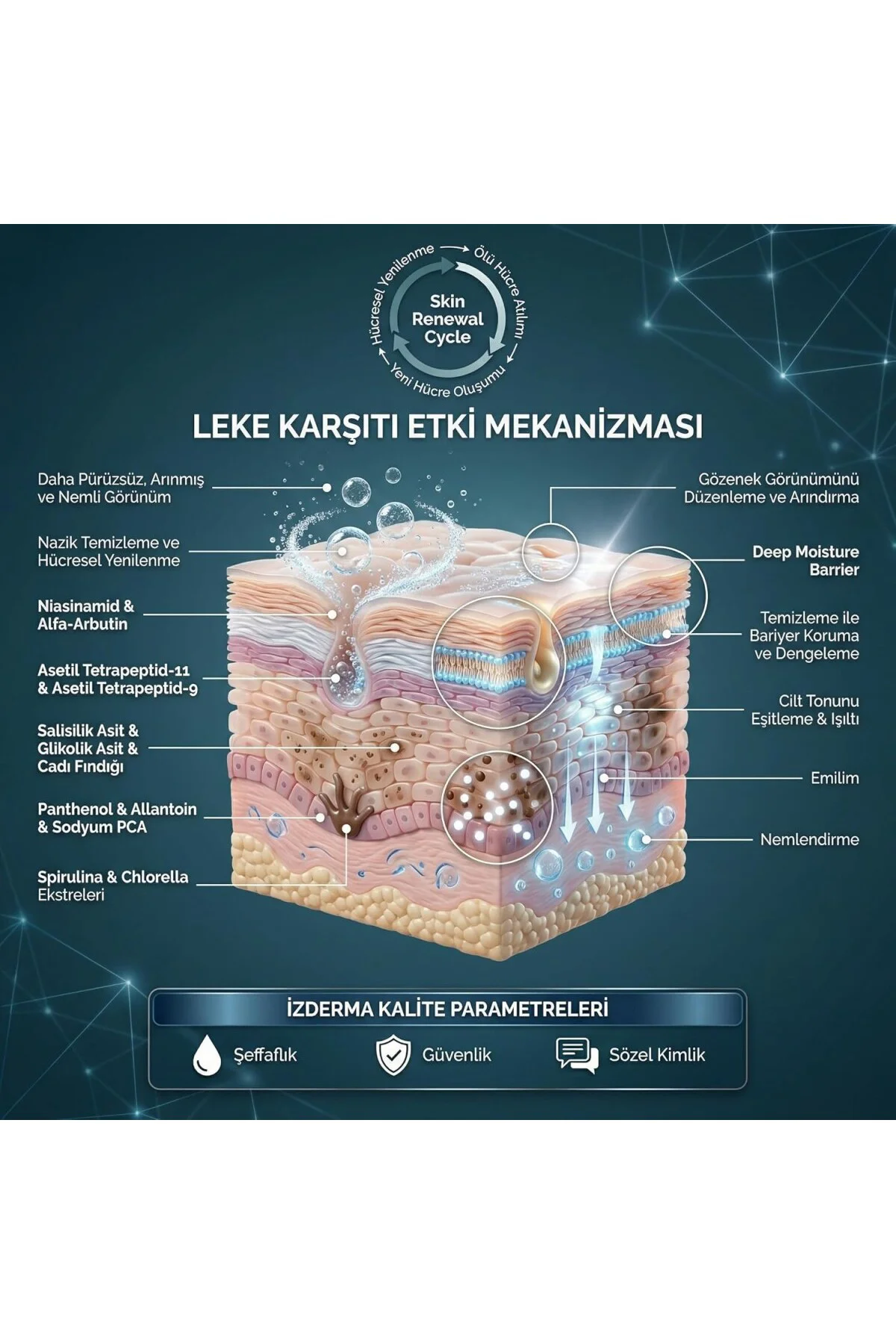 Evenify Yüz Yıkama Jeli ve Tonik Seti, 200 ml, Tüm Cilt Tipleri İ