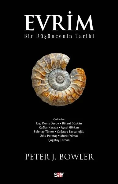 Evrim Fiyatı, Yorumları ve Özellikleri