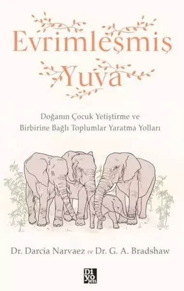Evrimleşmiş Yuva