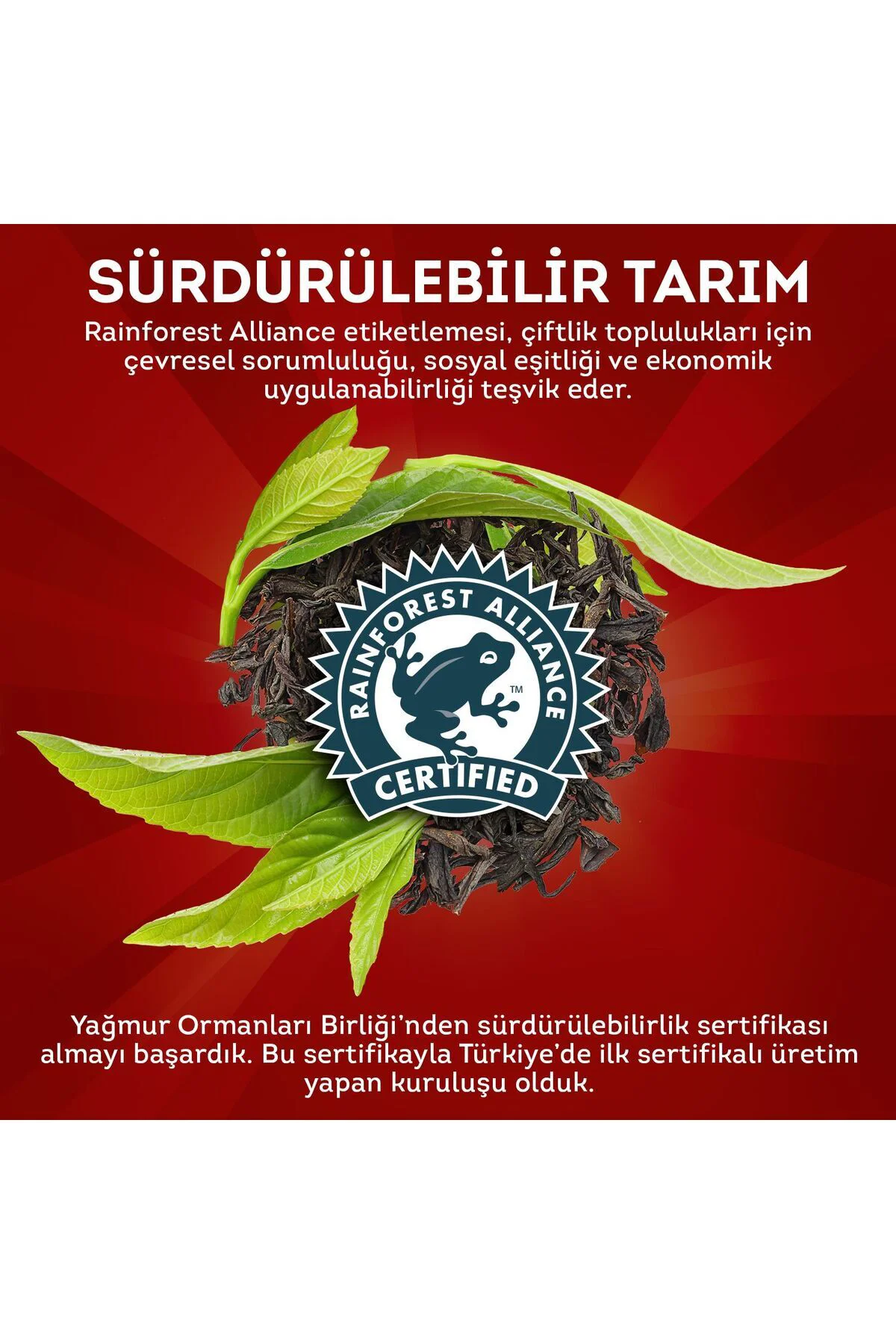 EXTRA DEM DÖKME ÇAY 3X500 G