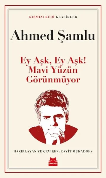Ey Aşk, Ey Aşk! Mavi Yüzün Görünmüyor Fiyatı, Yorumları ve Özellikleri