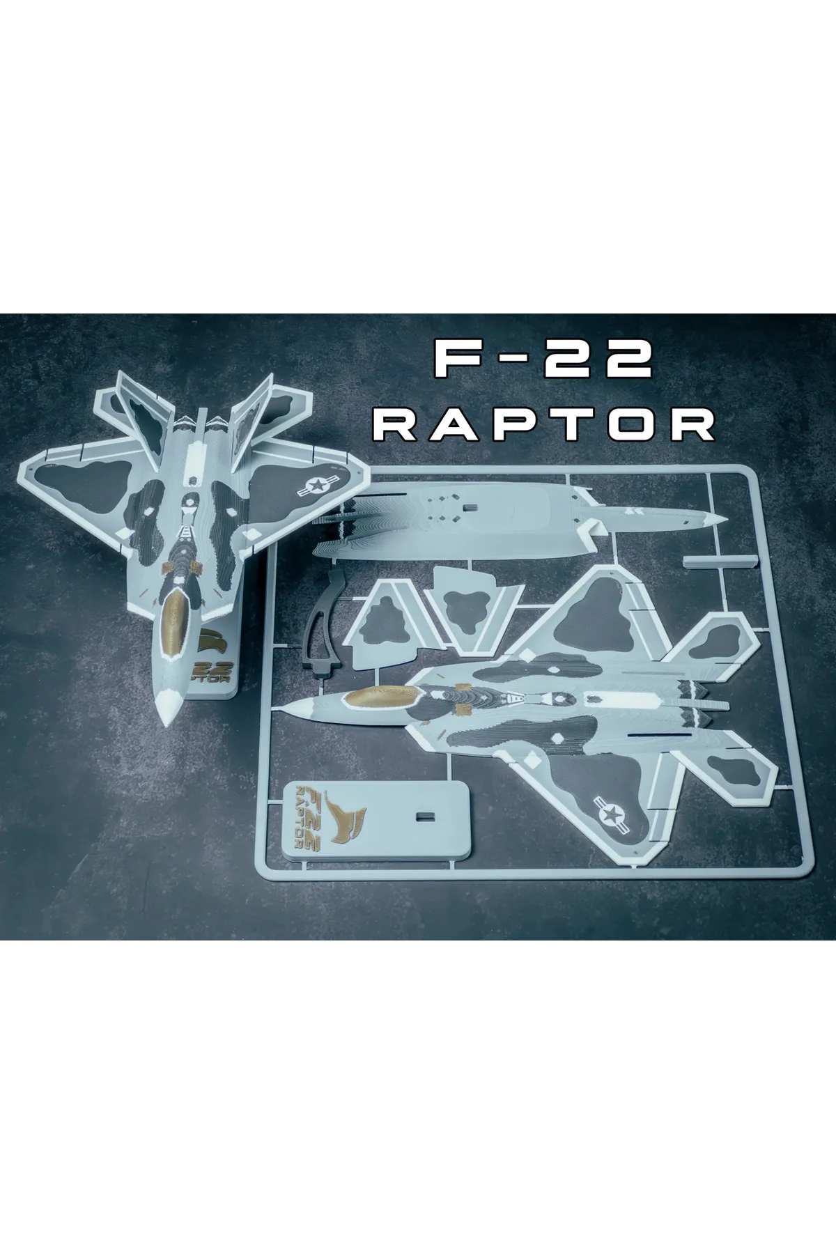 F-22 Raptor Uçak Kiti F-22 Raptor Uçak Kiti