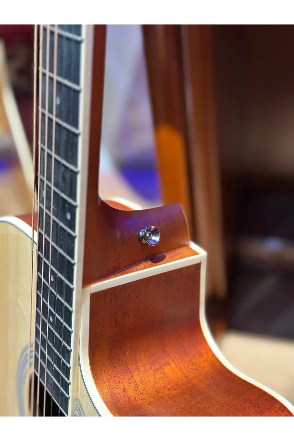 F310nt Kesik Kasa Akustik Gitar 4/4 Yetişkin Boy (KILIF PENA AKOR