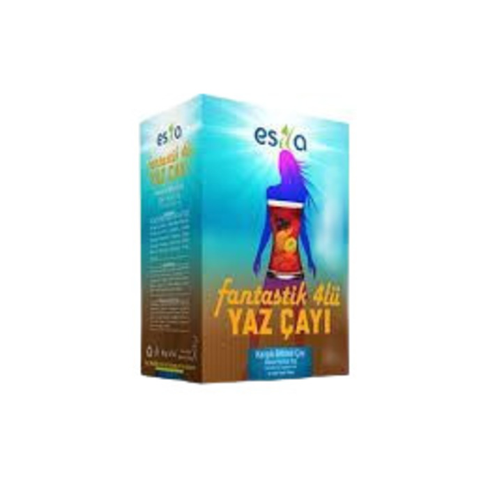 Esila Fantastik Dörtlü Yaz Çayı 45 Süzen Poşet 90 Gr