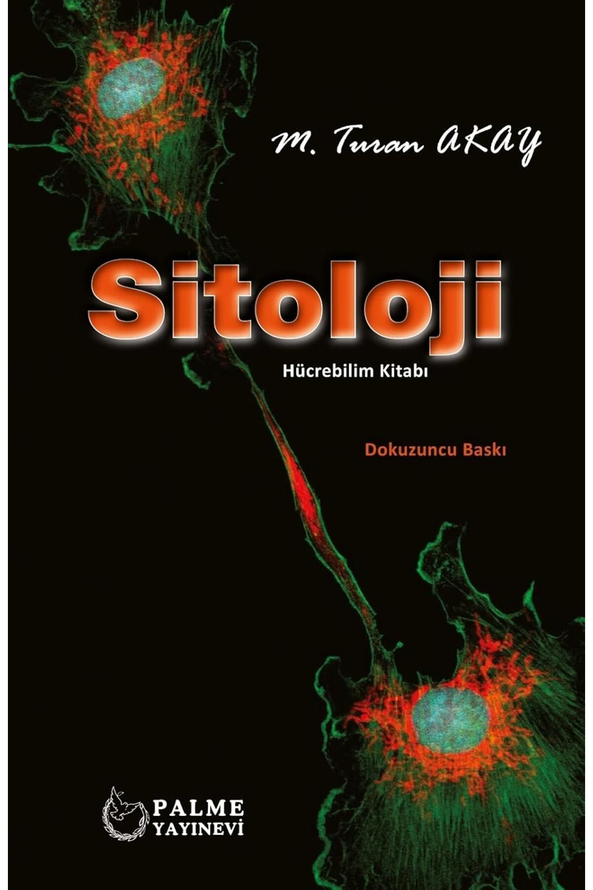 FantastikSell Sitoloji 1142128