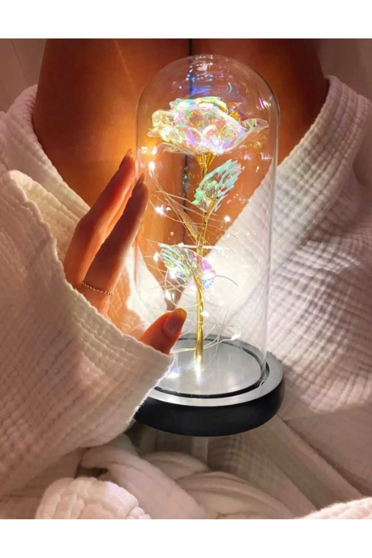 Ok Aksesuar Fanus Teraryum Sonsuzluk Gül İşikli