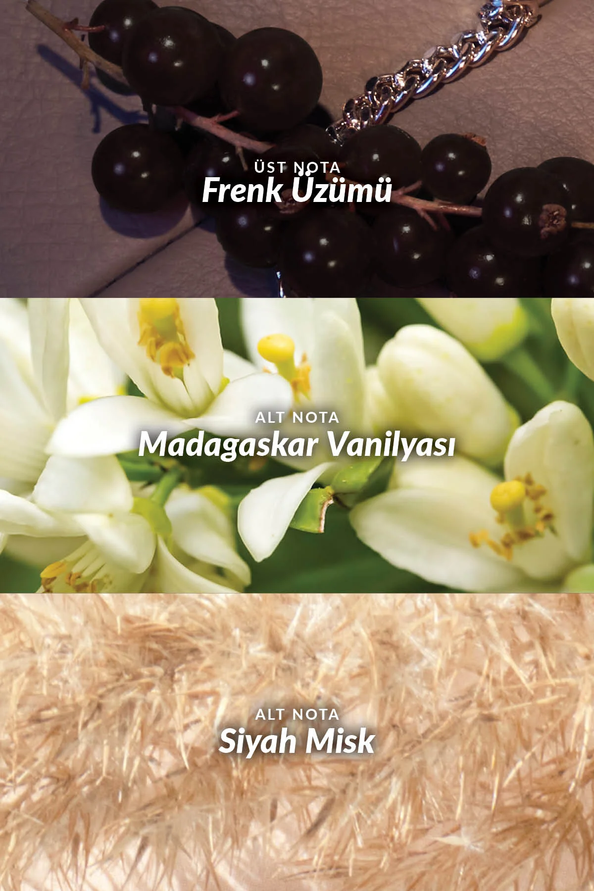 Far Away Glamour Kadın Parfüm ve Rollon Paketi