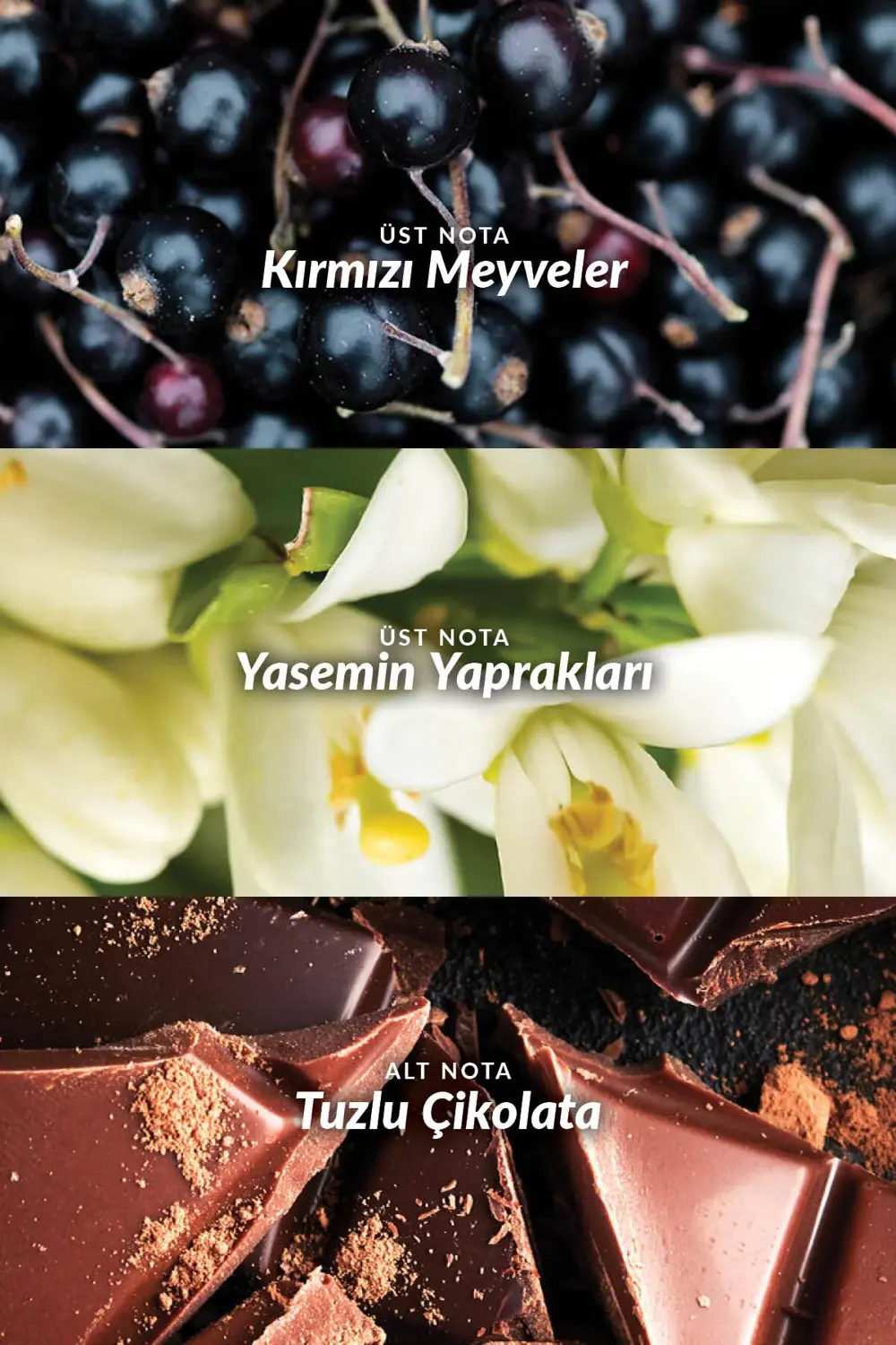 Far Away Rebel Kadın Parfüm ve Vücut Losyonu Paketi