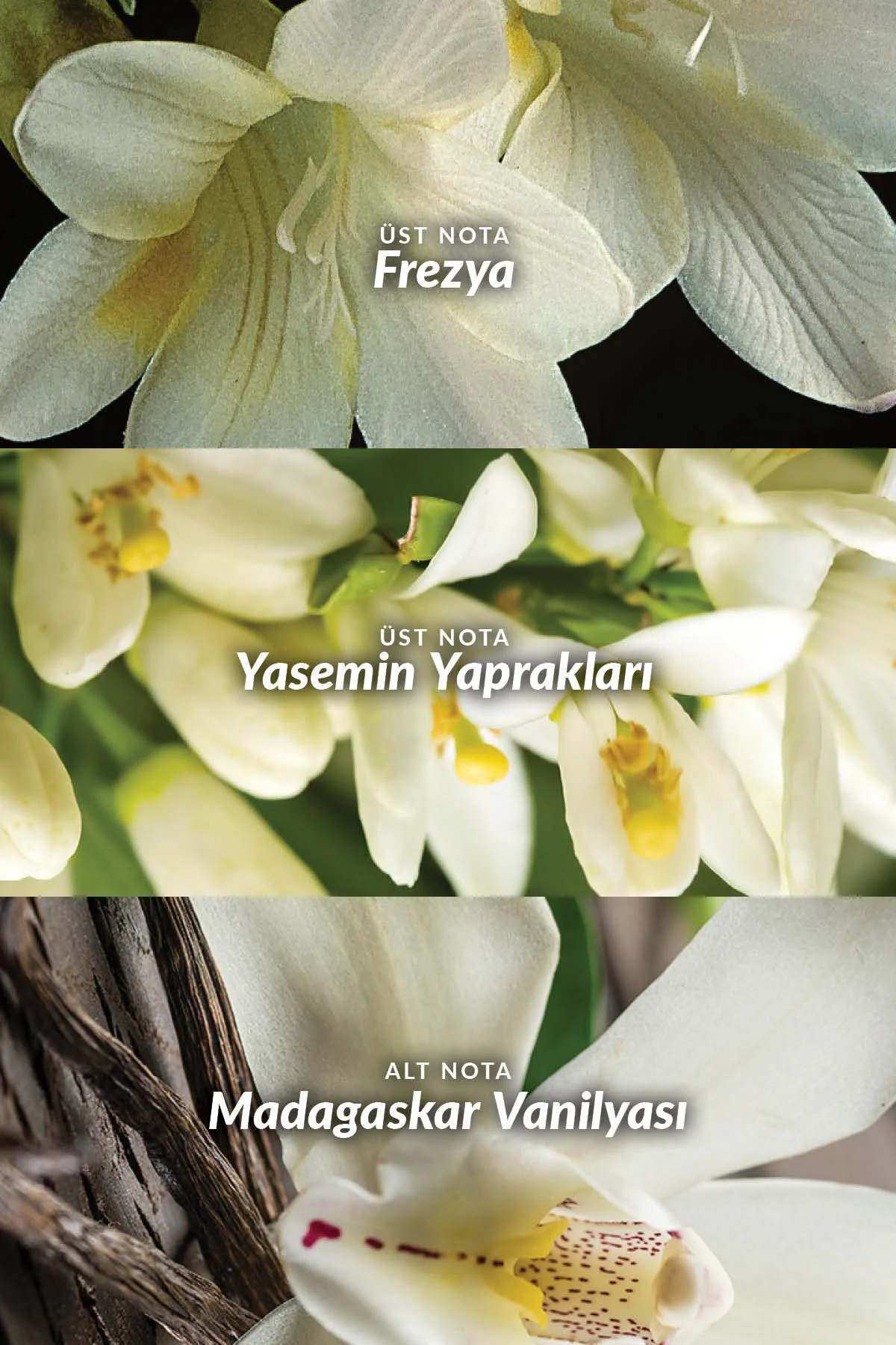 Far Away Ve Far Away Beyond Kadın Parfüm Paketi