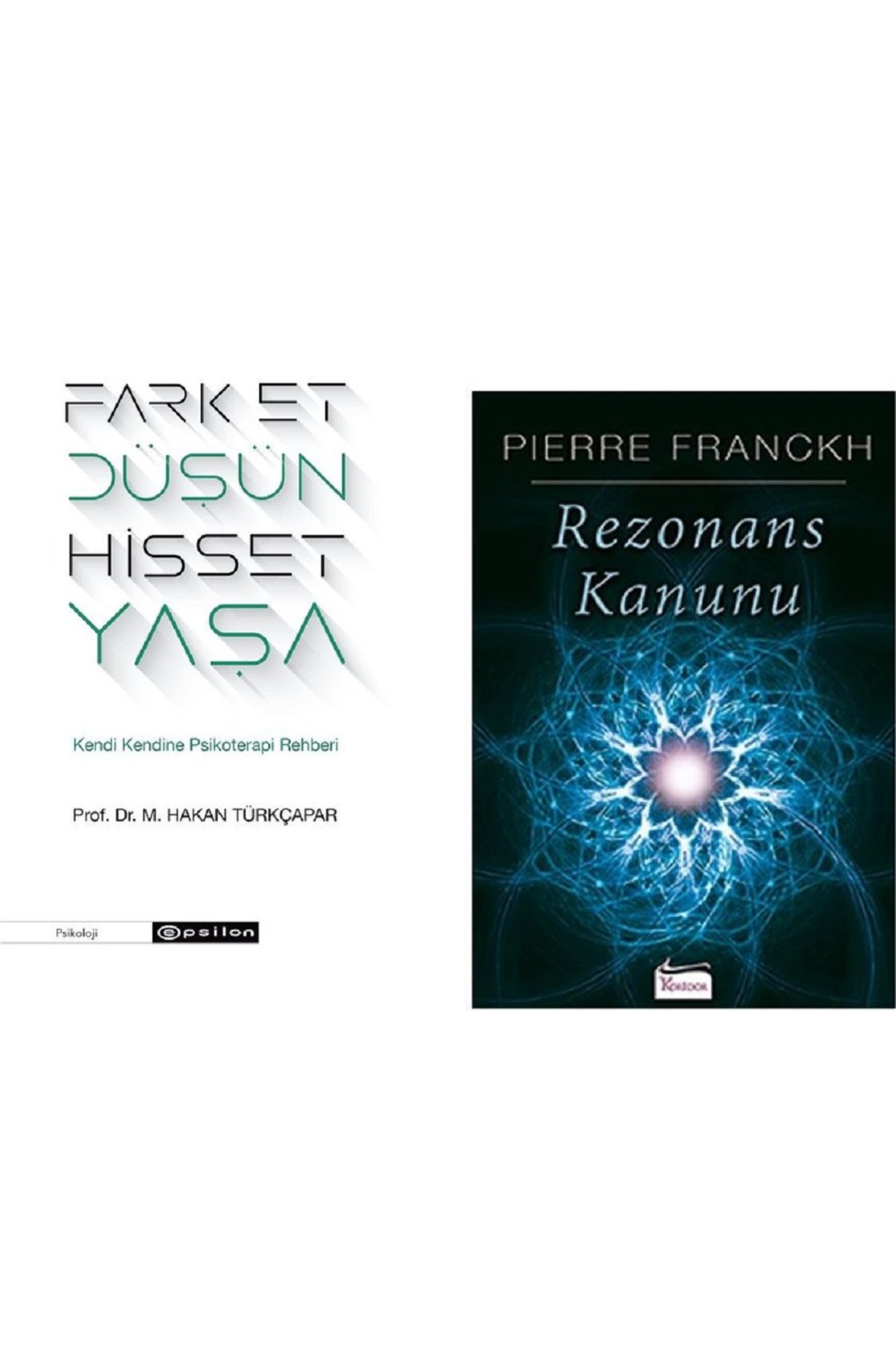 Epsilon Yayınevi Fark Et Düşün Hisset Yaşa + Rezonans Kanunu / 2 Kitap Set