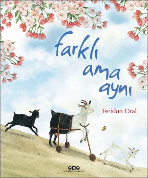 Farklı Ama Aynı Fiyatı, Yorumları ve Özellikleri