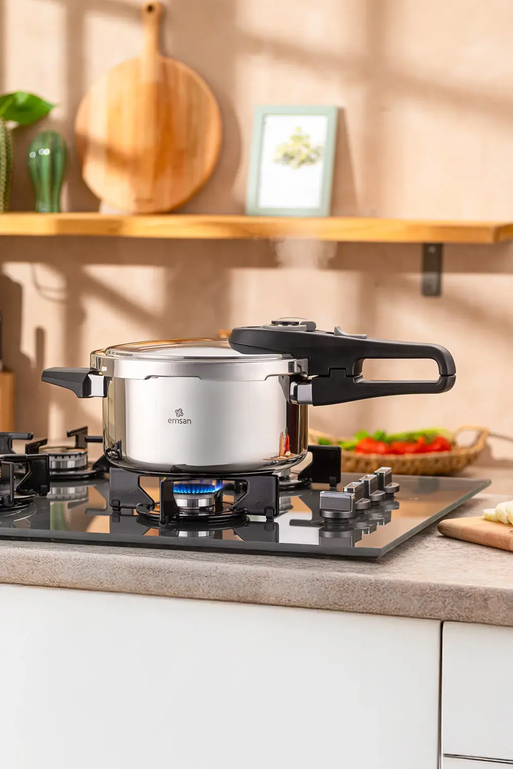 Fast Cooker Çift Emniyetli Düdüklü Tencere 4 Lt