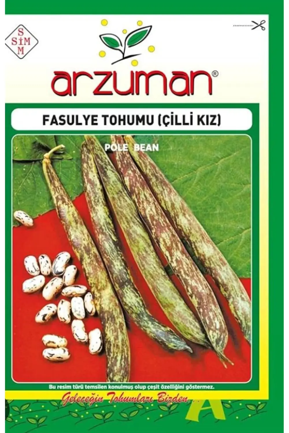 Fasulye Tohumu Çilli Kız