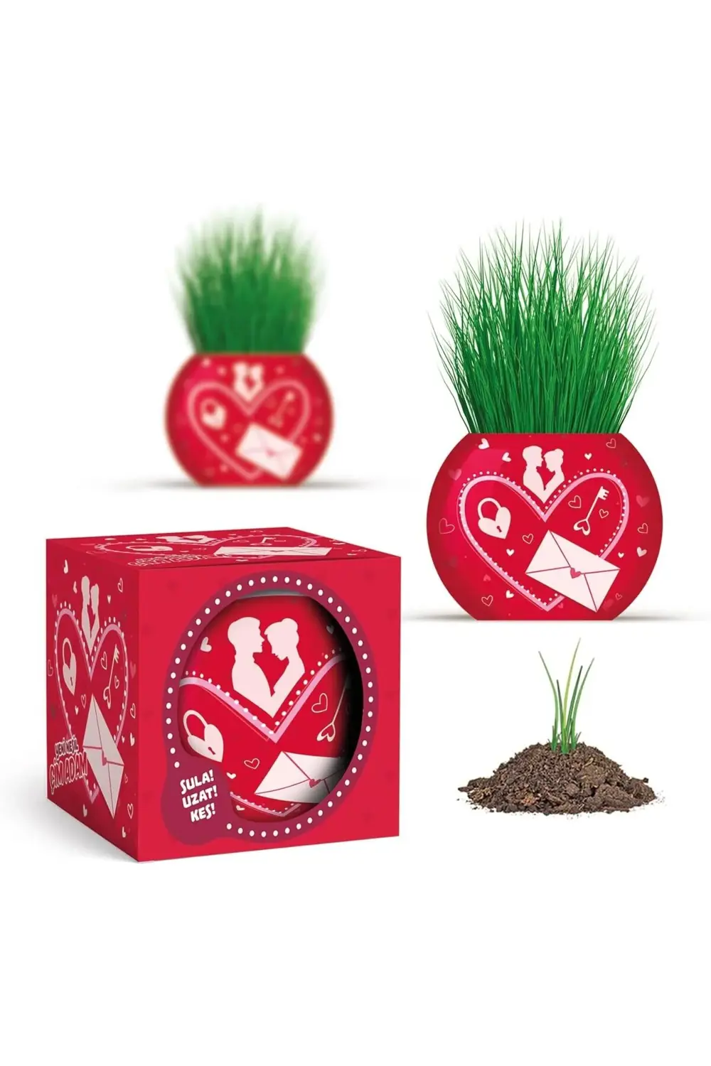 fee Aşk Temalı 6'lı Çim Adam Bitki Yetiştirme Seti – Romantik ve