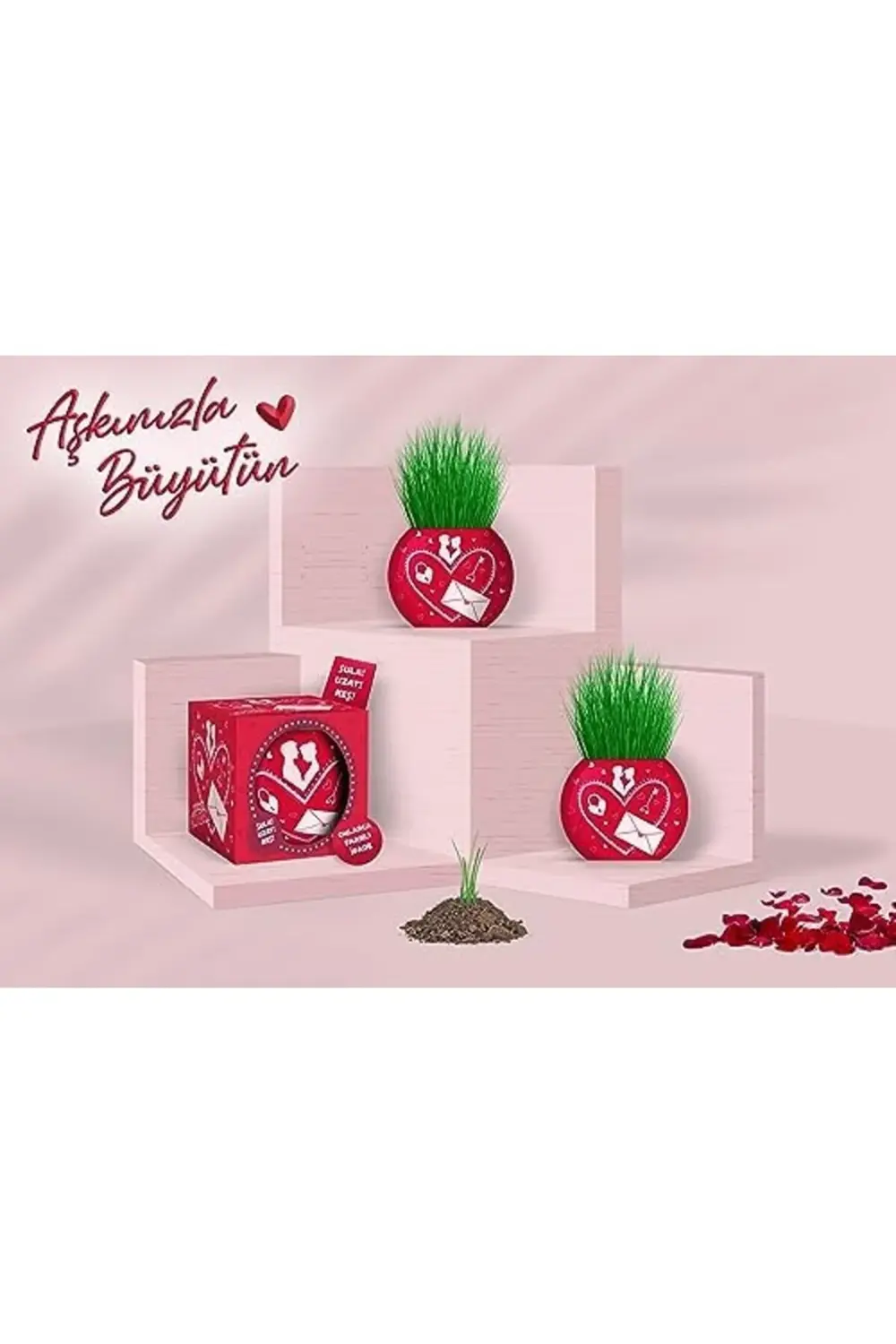 fee Aşk Temalı 6'lı Çim Adam Bitki Yetiştirme Seti – Romantik ve