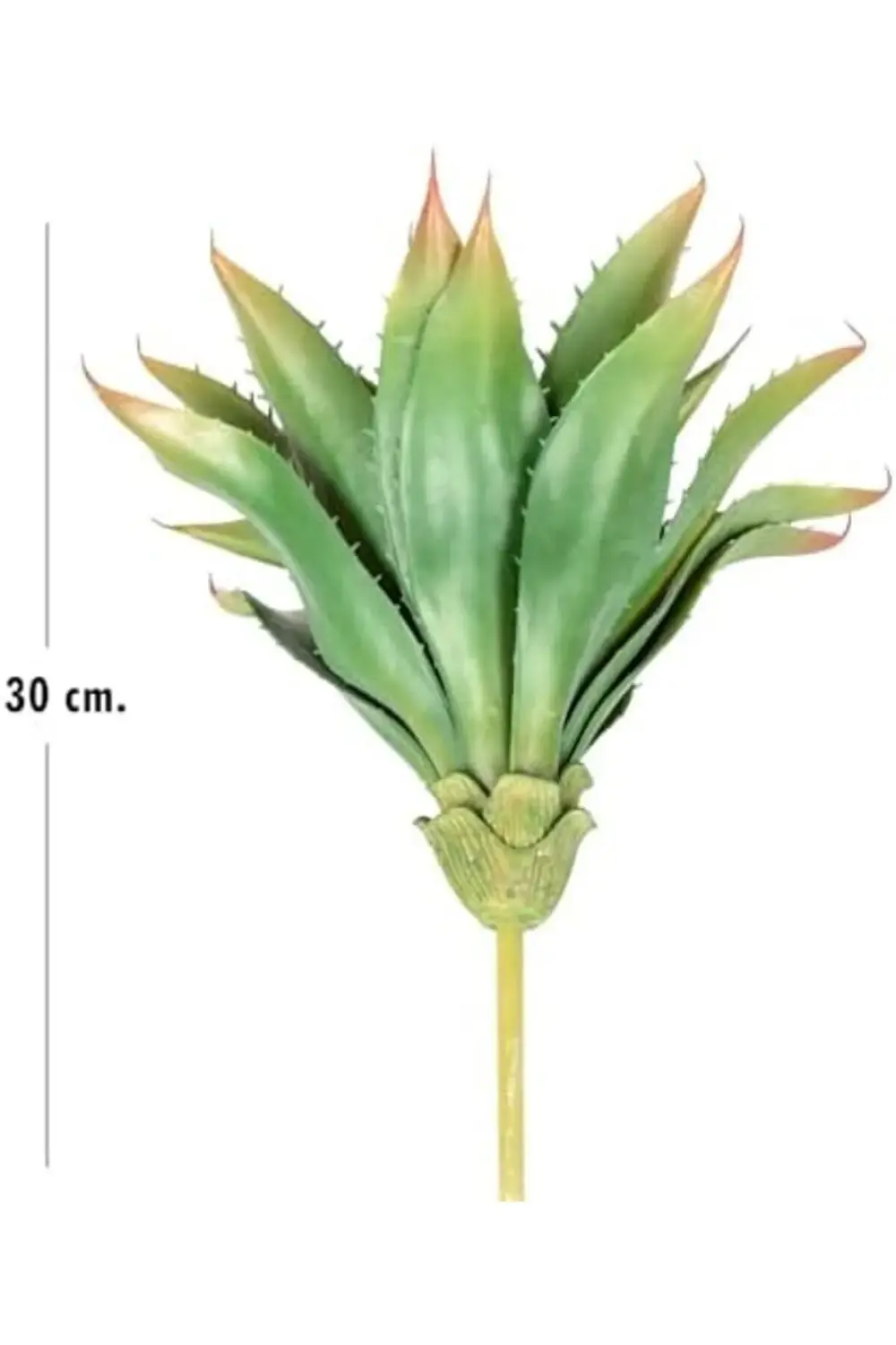 fee Yapay Kaktüs Sukulent Yeşil 30 Cm 890831