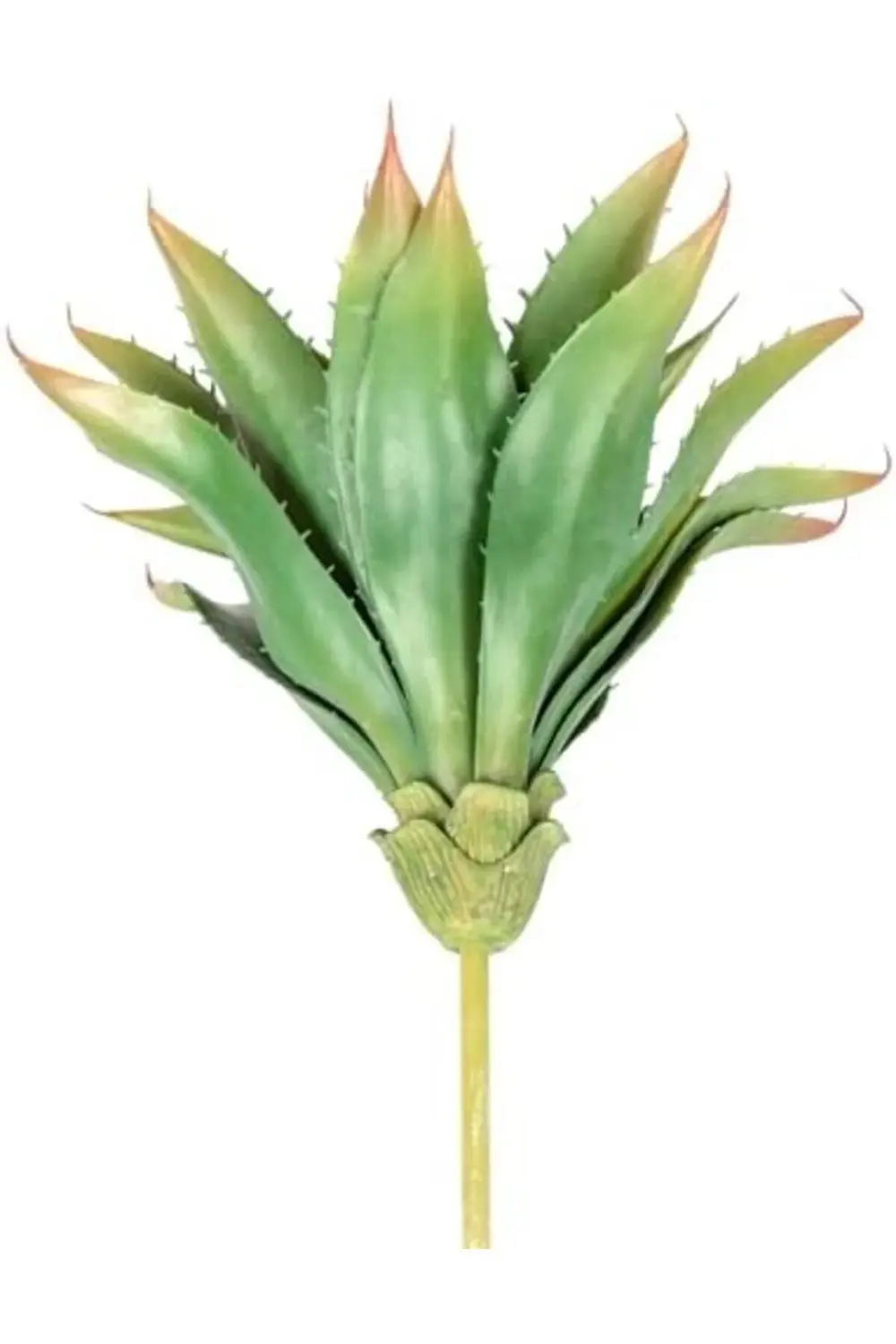 fee Yapay Kaktüs Sukulent Yeşil 30 Cm 890831