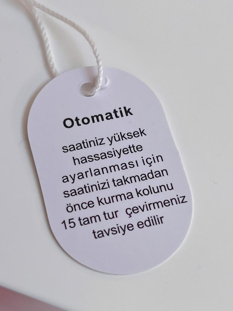 Ferrucci  Otomatik&Kurmalı 30 Atm Suya Dayanıklı Deri Kordonlu Erk