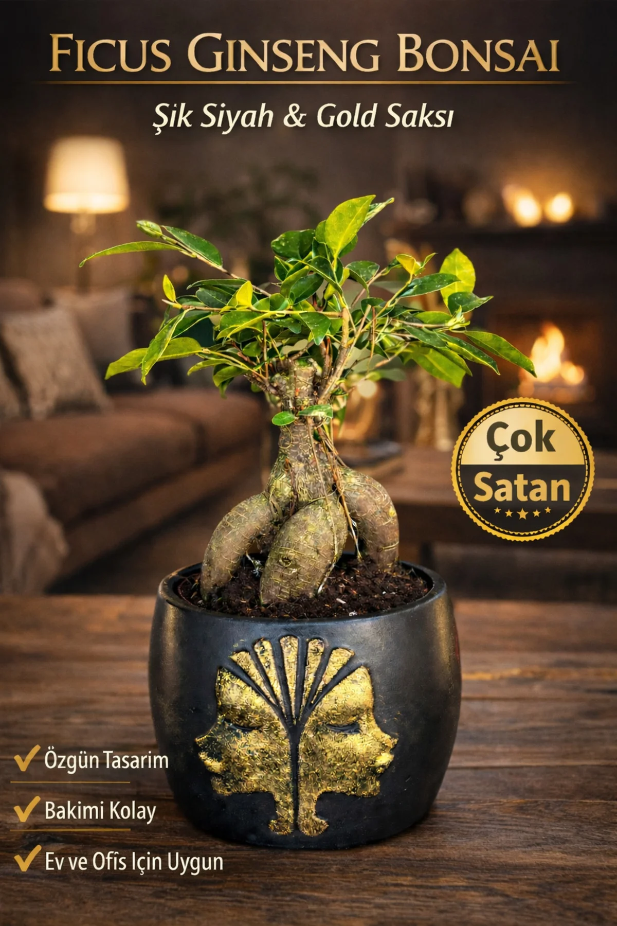 Ficus Ginseng Bonsai Gold Figürlü Siyah Saksı Dekoratif Mini Bons