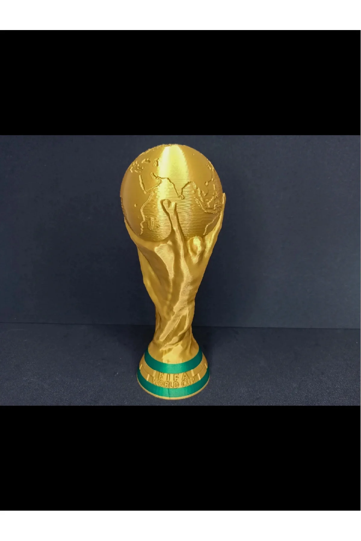 FIFA DÜNYA KUPASI TARAFTAR