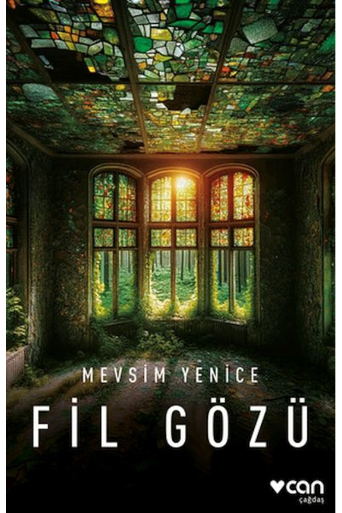 Yazarın Kendi Yayını Fil Gözü