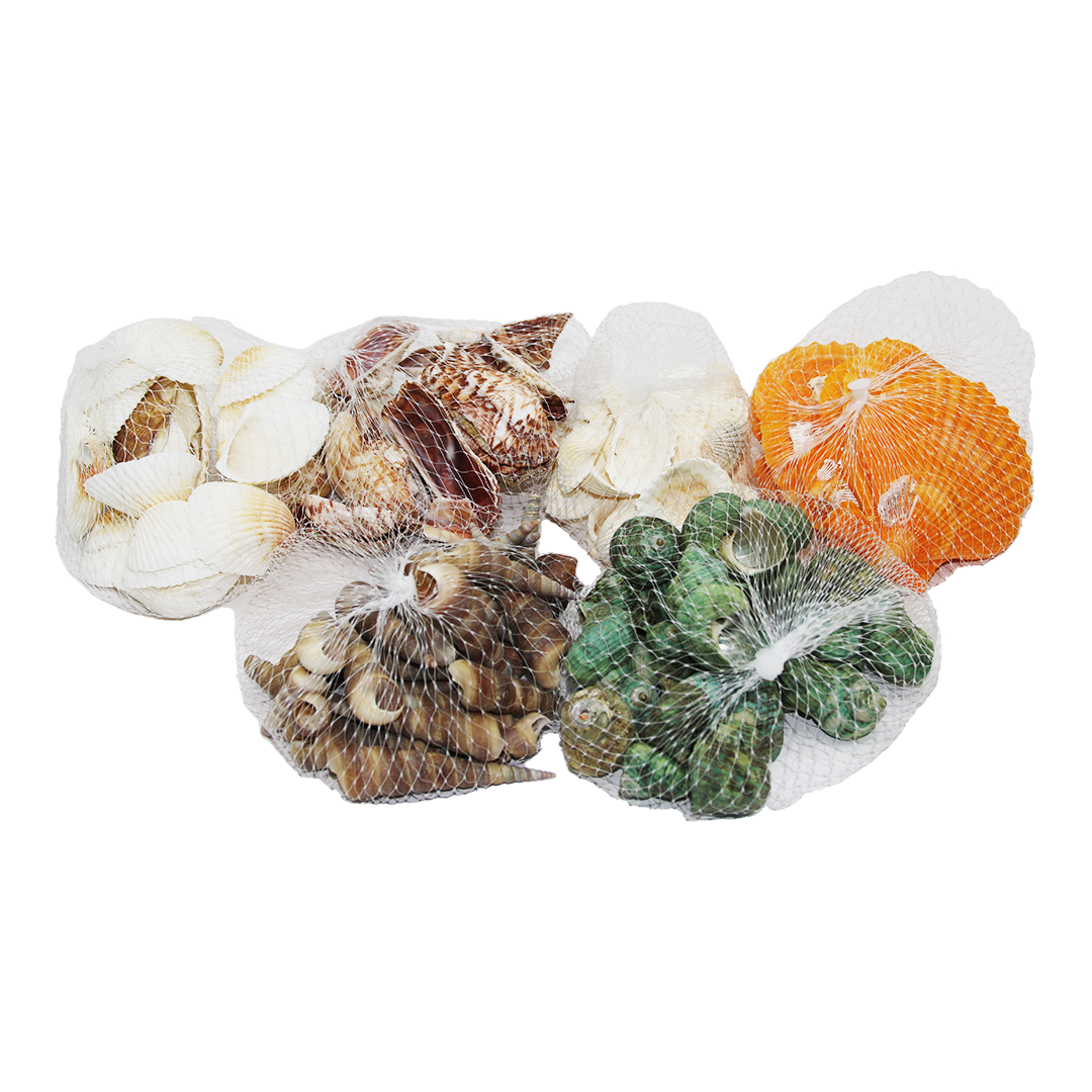FİLELİ MİDYE DENİZ KABUK VAZO TAŞI RENKLİ MİX