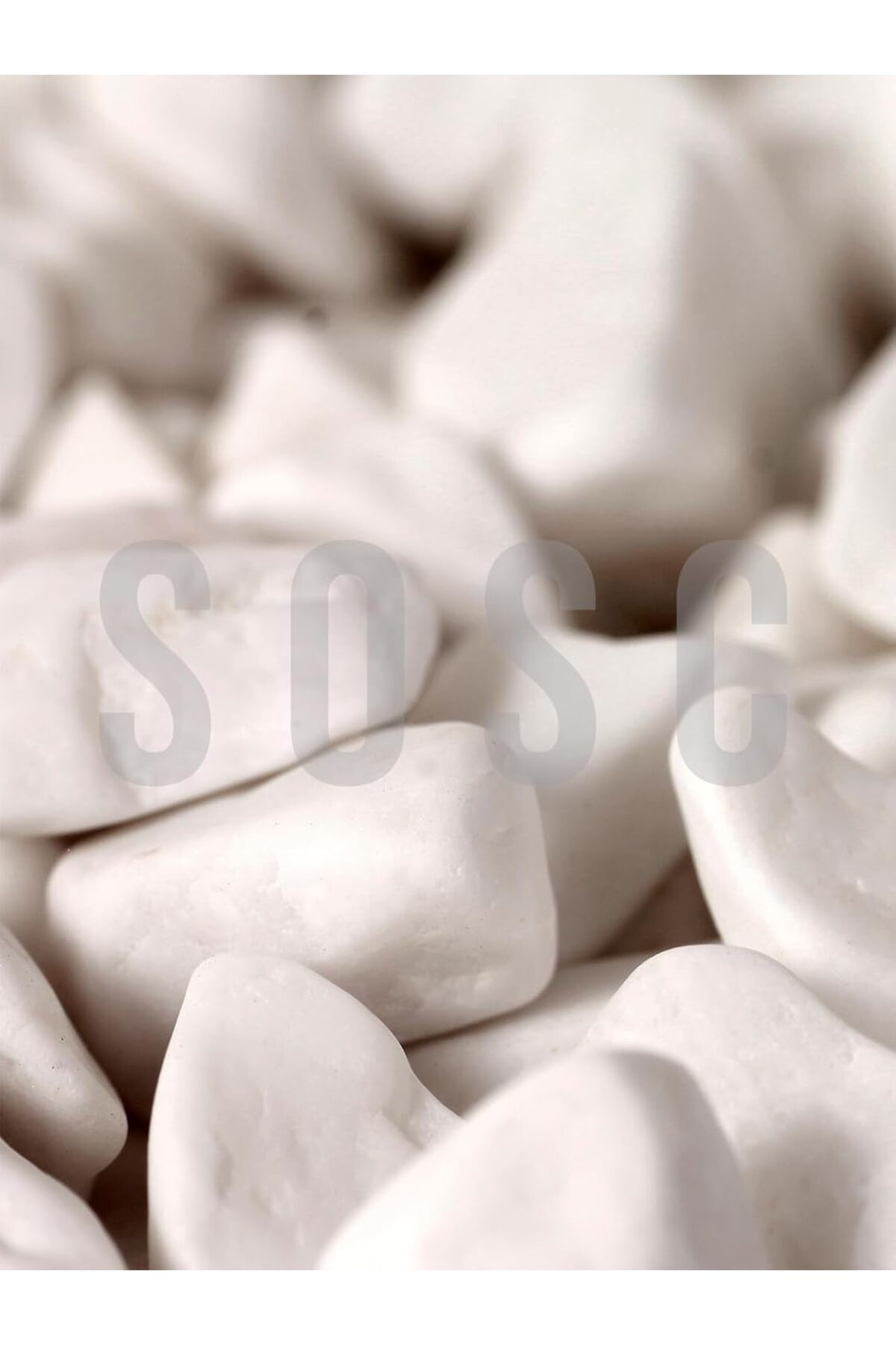 FilizoraSell Beyaz Çakıl Taşı Dolomit taşı Bahçe süsü Akvaryum ta