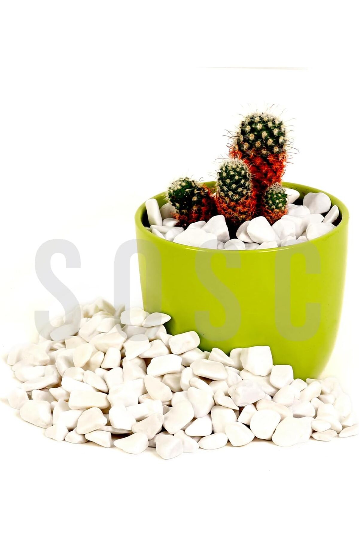 FilizoraSell Beyaz Çakıl Taşı Dolomit taşı Bahçe süsü Akvaryum ta