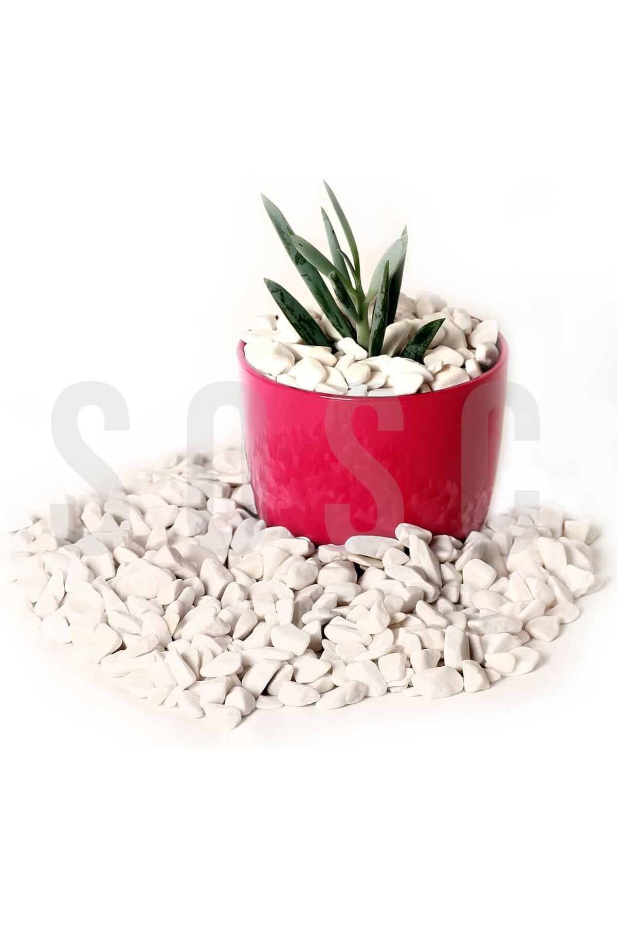 FilizoraSell Beyaz Çakıl Taşı Dolomit taşı Bahçe süsü Akvaryum ta