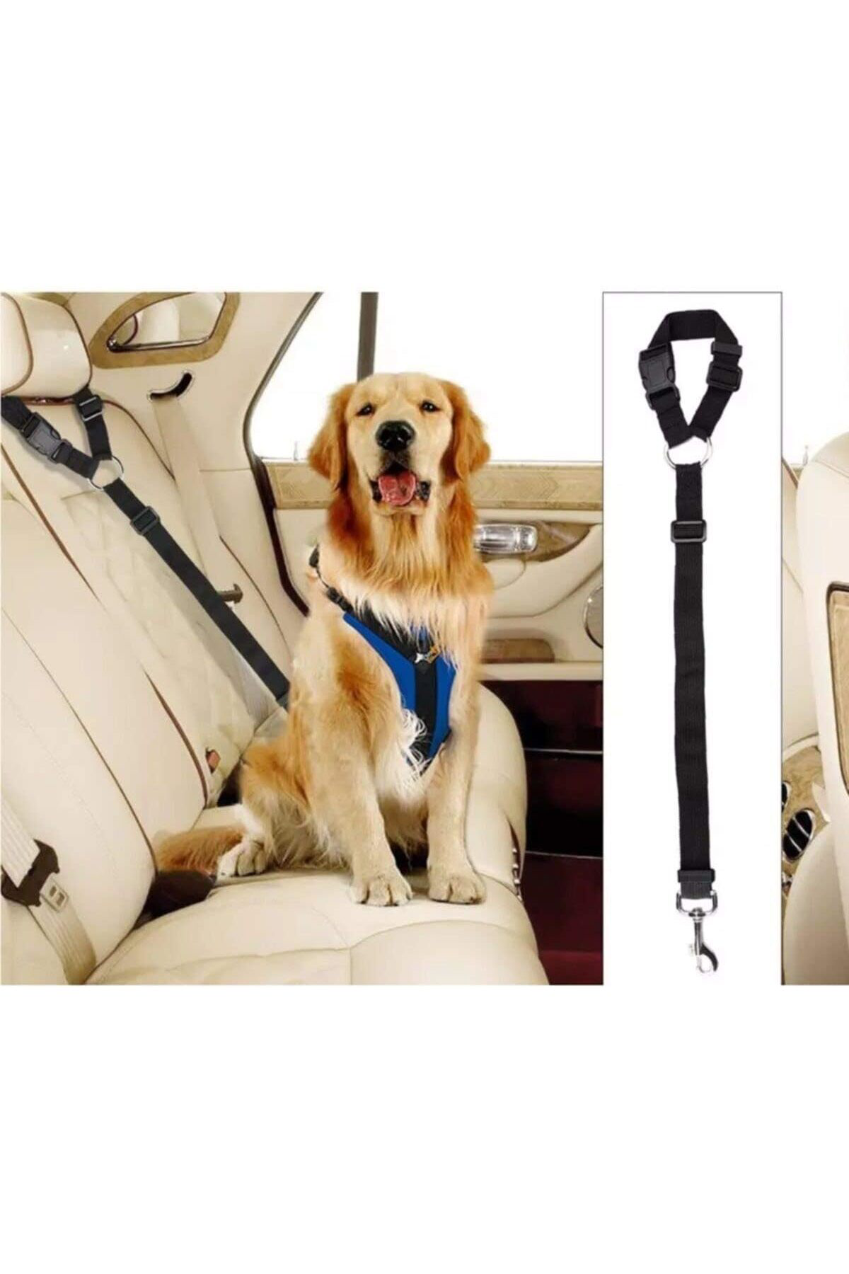 FilizoraSell Bypet Köpek Emniyet Kemeri - Köpek Araç Tasması ve G